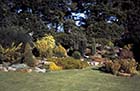  Northdown Park Gardens 1971 